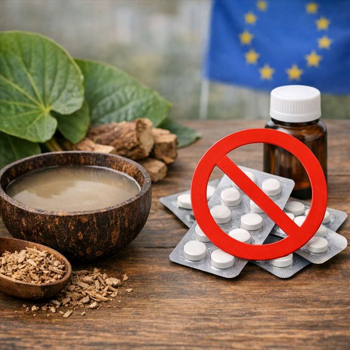 Pourquoi éviter le kava en Europe pour lutter contre le stress ?