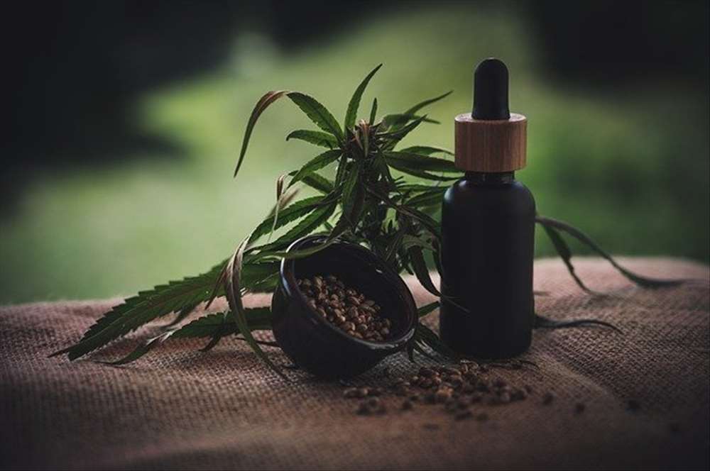 Le CBD a t-il des effets bénéfiques sur les animaux ?