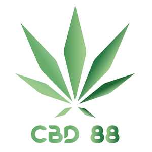 CBD 88, un marchand de produits à base de cannabidiol à Colmar