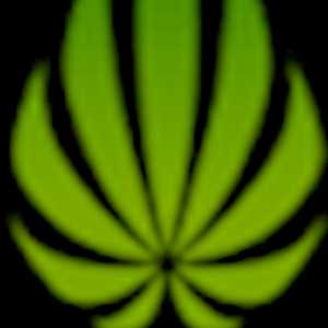 La Verte Feuille, un distributeur de produits CBD à Marcq-en-Barœul