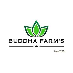 BUDDHA FARM'S, un distributeur de produits CBD à Reims