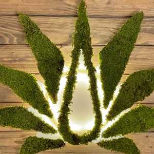 Organiquement Votre Sorigny, un distributeur de produits CBD à Bourges