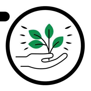 SAS MJY, un fournisseur de cannabidiol à La Rochelle