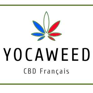 yocaweed, un fournisseur de cannabidiol à Gourdon