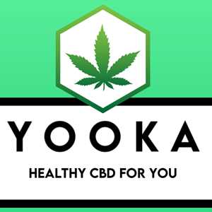 EUREKA STORE SAS, un distributeur de CBD à Avignon