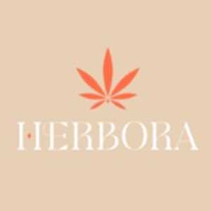 Herbora, un distributeur de CBD à Saint-Etienne