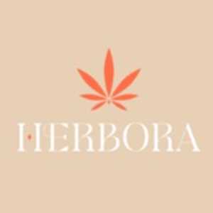 Herbora, un fournisseur de cannabidiol à Montbrison