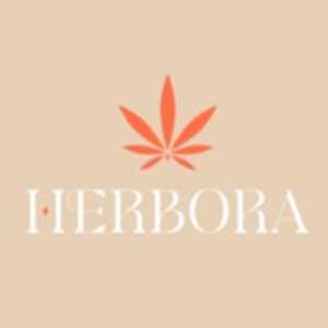 Herbora, un distributeur de CBD à Roanne