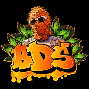 BDS, un marchand de produits à base de cannabidiol à Corbeil-Essonnes