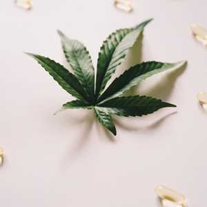SoniaCB, un marchand de CBD à La Rochelle