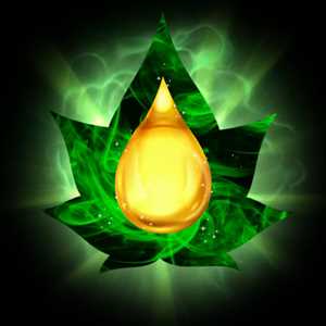 Vapo Dream , un fournisseur de cannabidiol à Sainte-Maxime