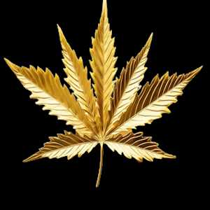 nicolas, un distributeur de produits CBD à Draguignan