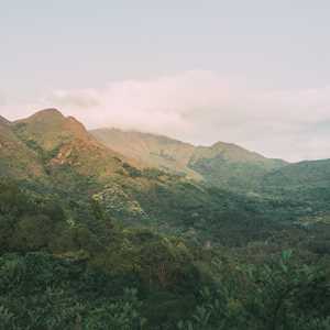 CBD, un marchand de produits à base de cannabidiol à Paris 13ème