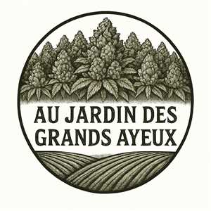 Au jardin des grands ayeux, un distributeur de CBD à Colmar