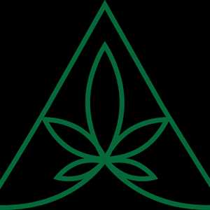 Olivier, un fournisseur de cannabidiol à Dijon