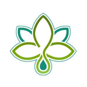 GreenBee Rennes, un marchand de produits à base de cannabidiol à Lorient